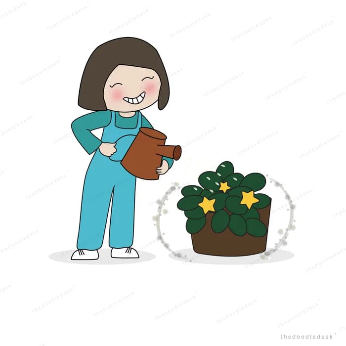 Woman in dungarees watering a star-flowered plant