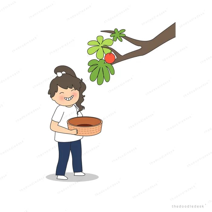 Woman holding a bowl under a fruiting branch