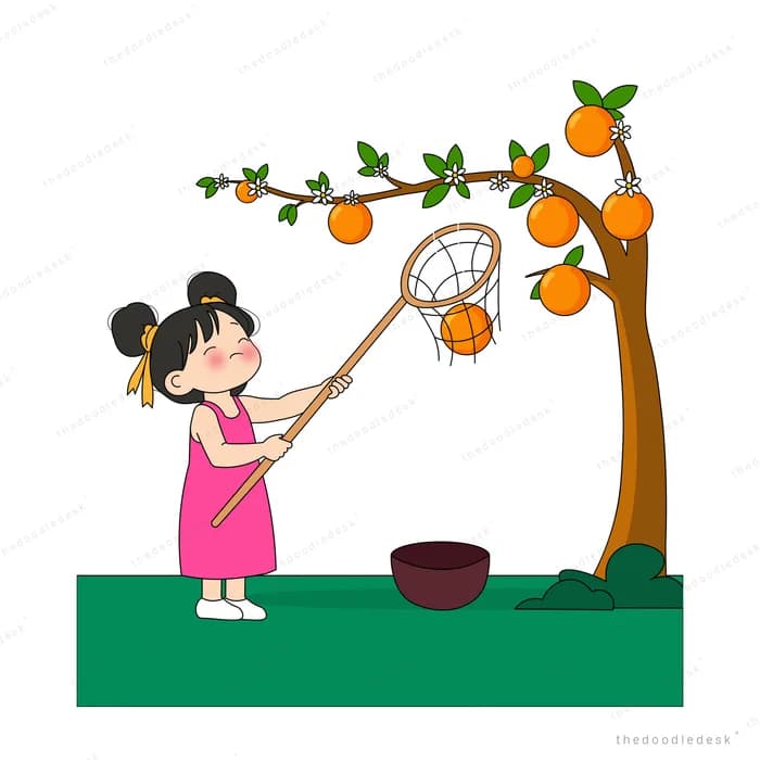Girl catching an orange in her net from the branches of an orange tree