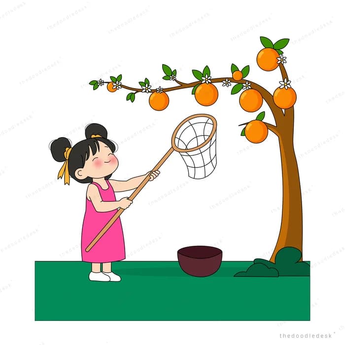 Girl stretching a long net up into an orange tree with an empty bowl below