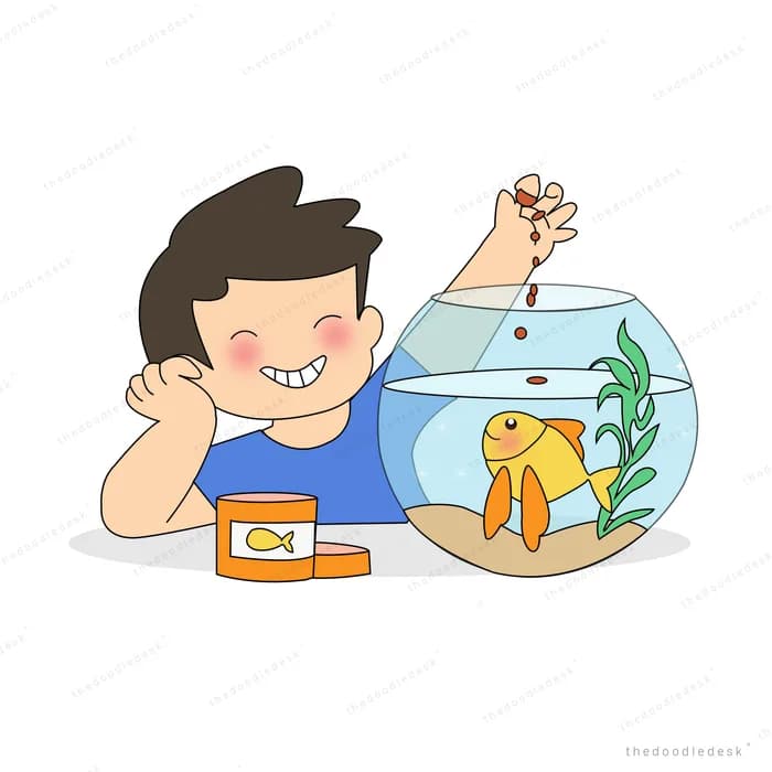 Boy watching fish in a round bowl