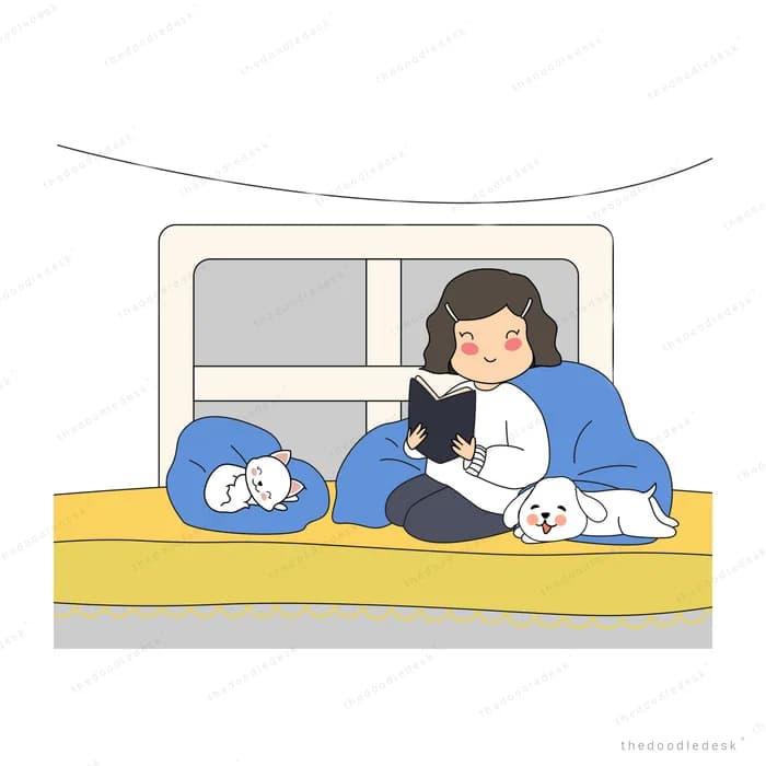 Couple lying in bed with a cat by a window