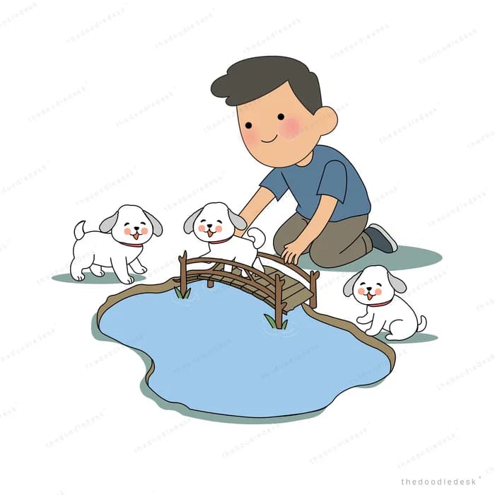 Man kneeling by a pond with a small bridge petting white puppies